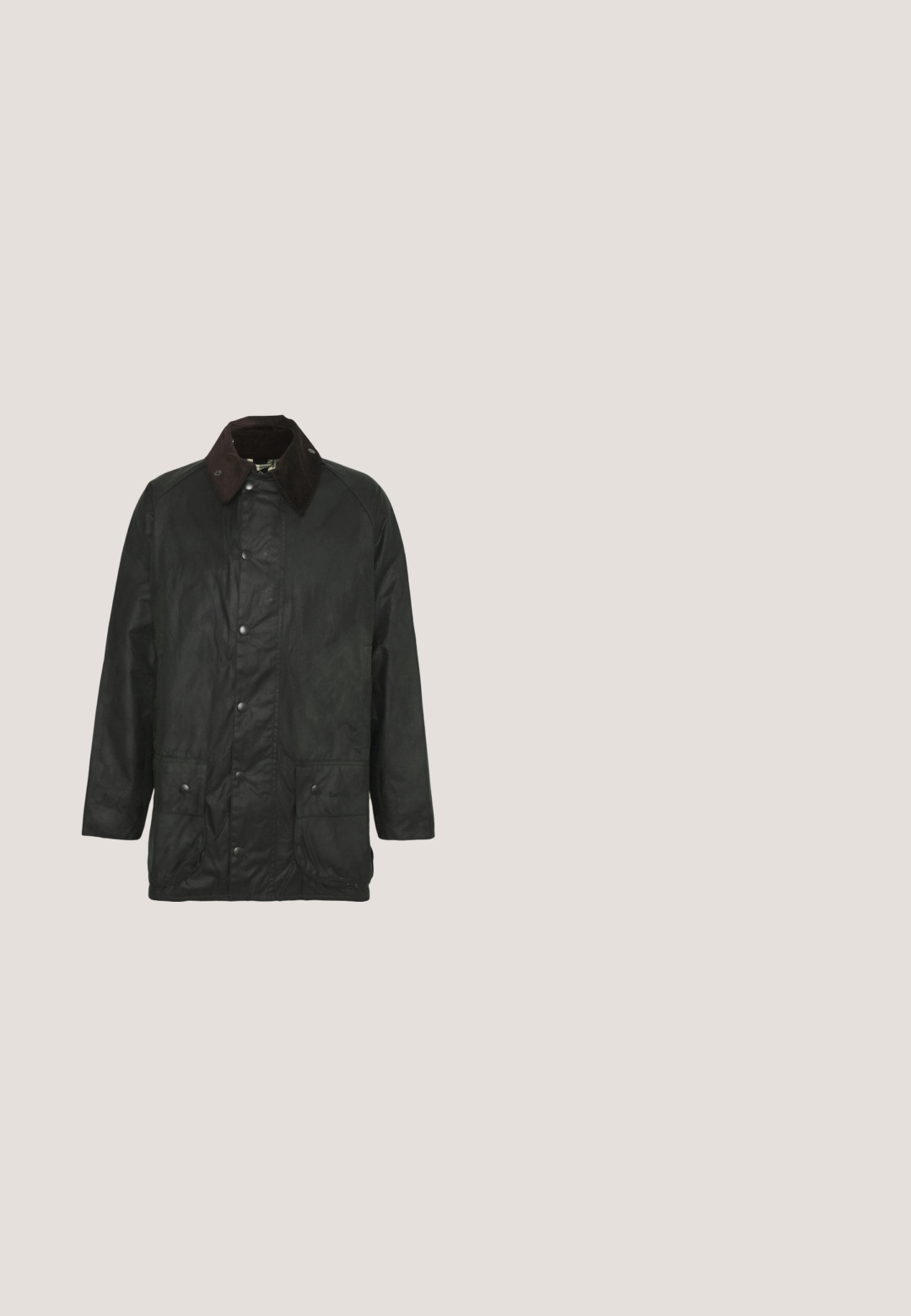 Barbour BEAUFORT - Kurzmantel - sage; Langärmliges Henley-Shirt aus leicht beigem Rippstoff mit V-Ausschnitt, Knopfleiste mit drei Knöpfen und angeschnittenen Ärmeln. Roter Logo-Tag am Saum.; Braune Cargo-Hose aus robustem Baumwollstoff, mit seitlichen Taschen, einer lässigen Passform und geraden Beinen mit sichtbaren Nähten.; Schwarze Leder Chelsea-Boots mit elastischen seitlichen Einsätzen, runder Zehenpartie und strukturiertem Gummisohle, die für ein einfaches An- und Ausziehen konzipiert sind.; Grüne Stoff-Umhängetasche mit braunen Lederakzenten, einer Vorderklappe, verstellbarem Schultergurt und Reißverschlussverschluss an der Oberseite. Ausgestattet mit goldenen Beschlägen.; Brauner Stoffgürtel mit schwarzer rechteckiger Schnalle mit Volcom Workwear-Logo und beigem Text.