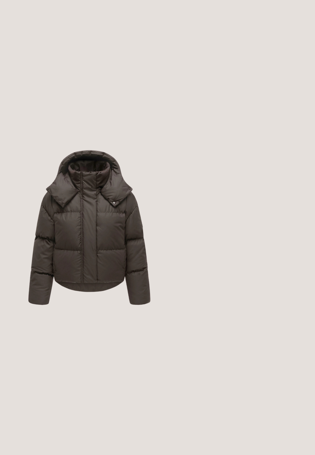 Bruine gewatteerde jas met hoge kraag, lange mouwen en drukknopen op de kraagflappen op een witte achtergrond.; Bruine cropped zip-up hoodie met trekkoord aan de zoom, lange mouwen, elastische boorden en vastgenaaide capuchon.; Bruine katoenen t-shirt met korte opgerolde mouwen, ronde halslijn en een losse pasvorm. Heeft een klein label op de zijnaad.; Bruine joggingbroek van zachte stof, met een elastische tailleband, taps toelopende enkels en een relaxte pasvorm. Opzettelijk minimalistisch ontwerp.; Stevige zwarte sneaker met dikke, getextureerde zool, mesh en suède bovenwerk, veterluiting aan de voorkant en "Steve Madden"-logo aan de zijkant.; Bruine fluwelen hobo tas met een gebogen handvat, featuring een rhinestone "Juicy" logo aan de voorkant. Glad van textuur en zacht van vorm.