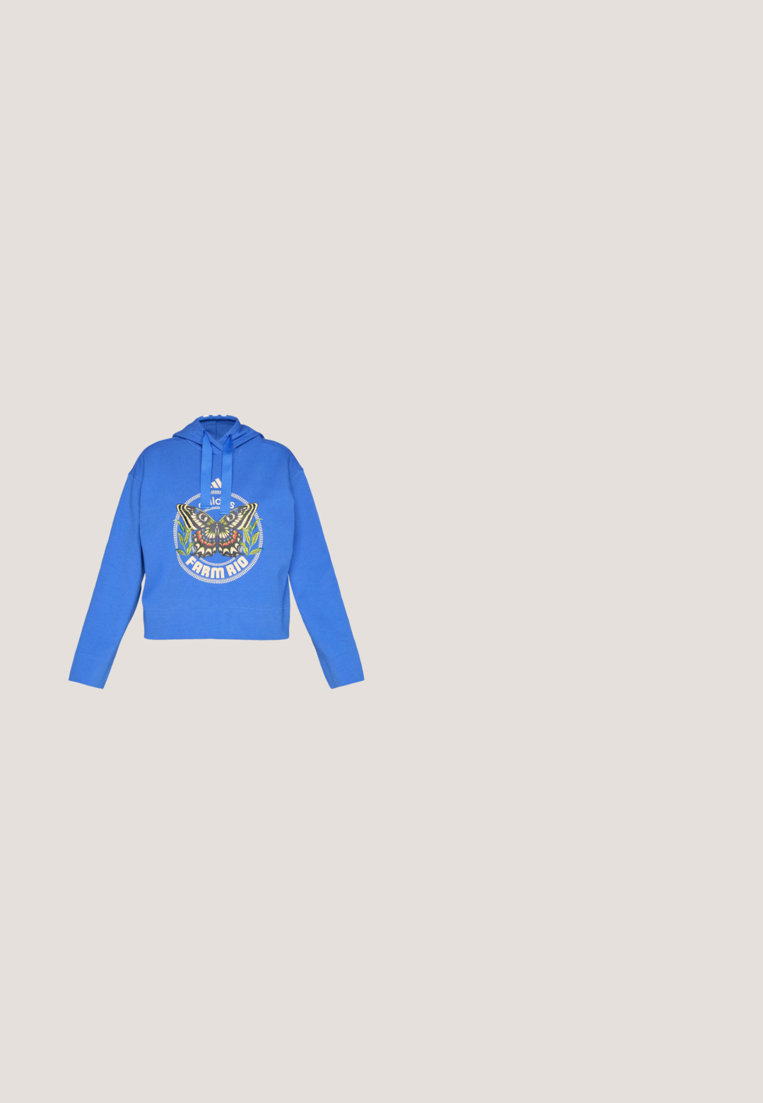 Sinine lühike kapuutsiga hoodie, millel on liblika ja rohelise taime graafika, "Adidas" logo ja "Farm Rio" tekst ees, koos kapuutsi ja nööridega.; Tumedad spordipüksid elastse vöökohtiga, sirgete jalgade ja külgzippidega. Külgedel on valged äärised. Sile kangastekstuuri.; Madal säärega sinisest seemisnahast tennisejalanõu valgete reljeefsete triipudega, läbipaistva kummist tallaga ning kuldse "BAYRE" brändiga külgedel.; Kaks ümmargust päikeseprilli, millel on helesinised poolläbipaistvad raamid ja tumehallid objektiivid, sirged tempud ja minimaalsete detailidega riistvara.; Hallitusseened tekstuuriga hall käekott, millel on pehme käepide, võrka mustrid, reguleeritav rihm ja eesmine klamber. Kompaktne disain ümmarguse kujuga.; Hõbedased südamekujulised lukuvidinad, millel on kohandatud "JAA" ja "EI" tekst, poleeritud viimistlus, sümmeetriline disain ja tugev metallist klamber.