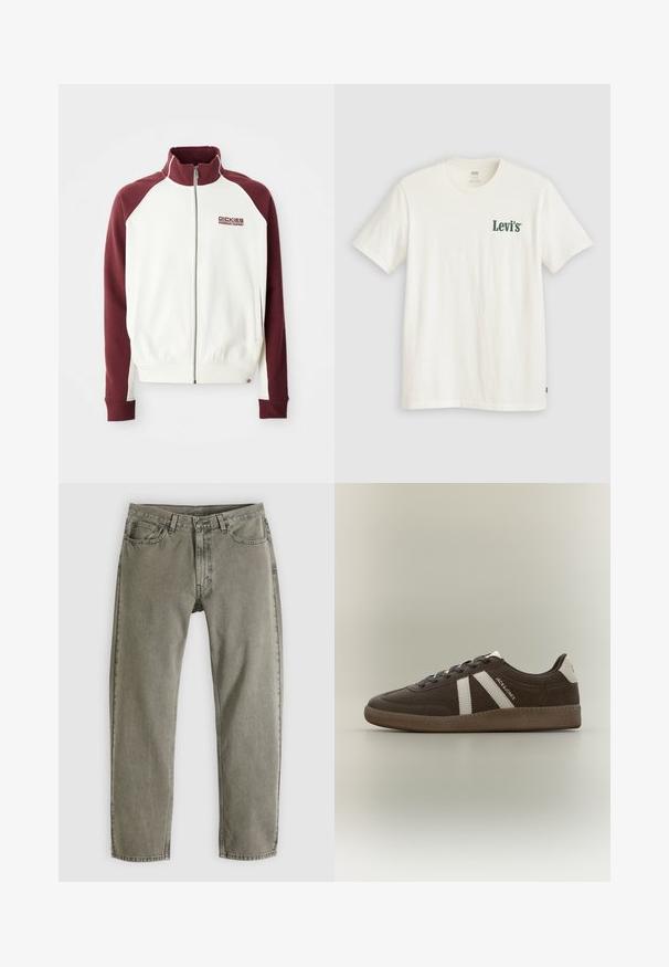 Valged lukuga sviitrid, millel on maroonid raglanvarrukad. Omab soonikkoes käsi- ja hemmi, ning väikest logo rinnal. Sile tekstuur.; Valge lühikeste varrukatega T-särk rohelise "Levi's" logoga vasakul rinnal ja väikese punase Levi's sildiga all paremal küljel.; Hallid sirged teksapüksid, millel on ees- ja tagataskud, vööaugud ja nööpidega sulgur, asetatud valgele taustale.; Pruun seemisnahast toss valgete triipude, valge kannapaiga, kummitalla ja küljel asuva tekstiga "JACK & JONES", profiilis lihtsal taustal.