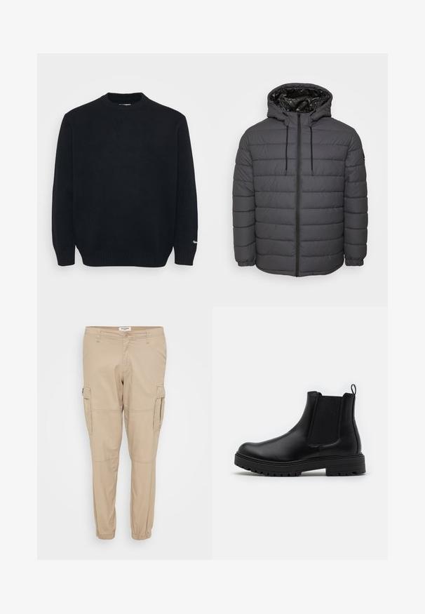 Gewatteerd jack in donkergrijs, met ritssluiting, capuchon met verstelbare trekkoorden en doorgestikt ontwerp met elastische manchetten.; Zwarte gebreide crewneck trui met lange mouwen en geribbelde manchetten en onderrand, weergegeven op een effen lichte achtergrond.; Beige cargobroek gemaakt van lichtgewicht stof, met taps toelopende pijpen, elastische boorden en zijzakken met klepsluitingen voor functionaliteit.; Zign by Zalando LEATHER - Lage laarzen - black