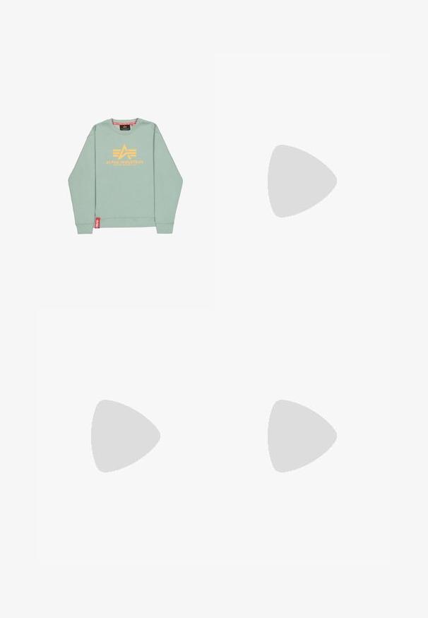 Sudadera de color verde claro con cuello redondo y mangas largas, con el logo y texto amarillo de Alpha Industries en el pecho, y una etiqueta roja cerca del dobladillo.; Camiseta negra de manga corta y cuello redondo con un pequeño logo colorido de Dickies en el lado izquierdo del pecho sobre un fondo liso.; Pantalones cortos de algodón azul marino con una cintura elástica y cordón ajustable. Cuenta con bolsillos laterales y un pequeño logo en el dobladillo.; Zapatilla deportiva Nike con un diseño en negro y plata. Fabricada con material sintético y detalles de malla, cuenta con una suela que brinda soporte y amortiguación de aire visible.