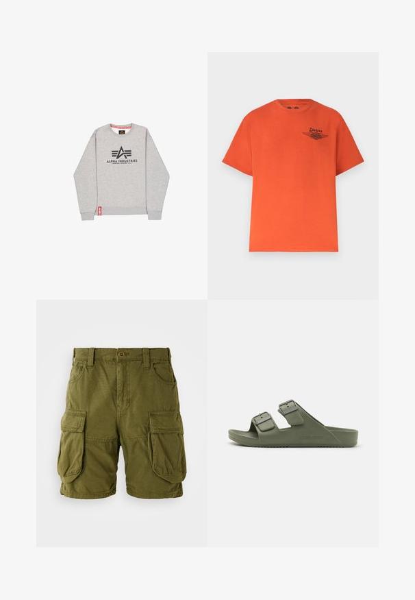 Hallkriipsuga hall dressipluus, millel on must logo "ALPHA INDUSTRIES" ja punane aktsent sildil allservas. Puuvilla segu, vabaaja disain.; Heleoranž värvi lühikeste varrukatega T-särk ümmarguse kaelusega, millel vasakul rinnal väike must Dickiesi ja Harley-Davidsoni logo.; Oliivrohelised cargo-shortsid, mis on valmistatud puuvillasegusest kangast. Omavad kahte suurt külgtaskut ja nööbiga kinnitust, koos vöörihmadega. Sujuv tekstuur.; Rohelised kummist sussid kahe reguleeritava pandlaga, avatud varvastel, tekstureeritud tallaga ja reljeefse logo detailiga.