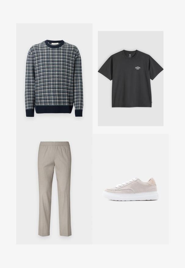 Marineblå og beige ternet striktrøje med ribbet rund hals og manchetter, som har et struktureret stof og en afslappet pasform.; Sort Levi's T-shirt med korte ærmer og rund halsudskæring med lille hvid "Denim Gremlin Levi's" logo på venstre bryst.; Lys grå bukser med elastisk talje, lige ben design og en glat stofstruktur. Ingen synlige mønstre eller hardware detaljer.; Lysegrå ruskindsneaker med hvide snørebånd, tekstureret bagpå og hvid gummisål. Har minimal syning og branding på hælen.
