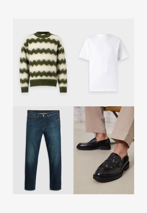 Groene en witte zigzag-gepatroneerde trui, gemaakt van zacht, fluffy materiaal met een ronde halslijn en geribde manchetten.; Witte T-shirt met korte mouwen, gemaakt van katoen, met een ronde hals. Het heeft een gladde textuur en een eenvoudig ontwerp zonder patronen of accenten.; Donkerblauwe spijkerbroek met rechte pijpen, vijf zakken, koperen stiksels en een logo op de achterkant van de tailleband. Gladde textuur en klassieke pasvorm.; Zwarte leren loafers met een gladde afwerking, voorzien van een decoratieve band en contrasterende stiksels, gecombineerd met beige broeken.