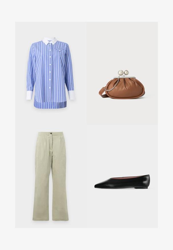 Blauw-wit gestreepte shirt met lange mouwen, knoopsluiting aan de voorkant en een witte kraag en manchetten. Bevat een klein zakje op de linkerborst.; Lichtgroene wijde broek van zacht materiaal, met een knoopsluiting aan de voorkant, plooien en een nette zoom.; Zwarte leren damesschoen met platte zool, puntige neus en lage hak, zijwaarts afgebeeld tegen een effen lichtgrijze achtergrond.; Bruine leren clutch met een zilveren balsluiting en een klein zilveren kettingdetail op een witte achtergrond.