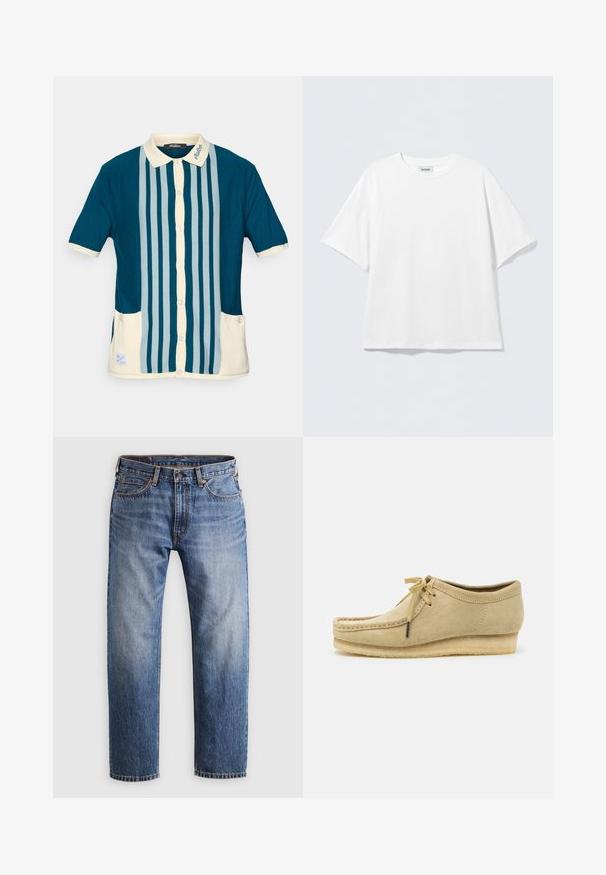 Tumedale roheline lühikeste varrukatega polosärk, millel on helesinised vertikaalsed triibud. Omab kreemivärvi kraed ja kahte esist taskut.; Valge lühikeste varrukatega puuvillane T-särk, millel on ümar kaelus ja lõdvestunud lõige. Ei ole nähtavaid mustreid ega aktsente. Lihtne disain.; Sirged denimi sinised teksad, millel on nööp ja lukk, viis taskut ning oranž õmblus heledal hallil taustal.; Bež nubukist kingad, millel on paelad, õmblustega detailid ja kummist tald. Kujundus on lihtne, kergelt kallakuga kannaga.