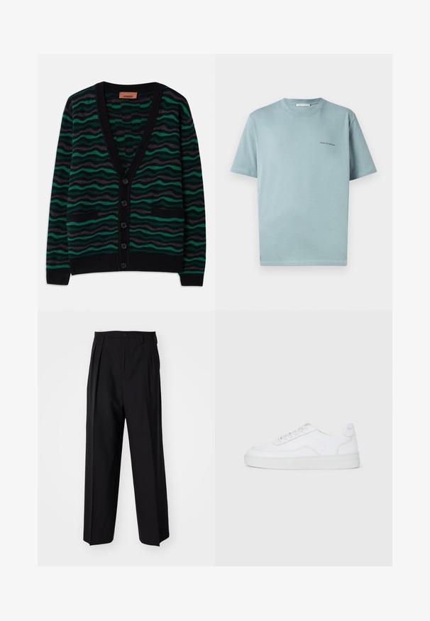 Zeleno-černý kardigan s vlnkovým vzorem, má výstřih do V, pět knoflíků a dvě přední kapsy. Vyroben z měkkého, strukturovaného materiálu.; Světle modré bavlněné tričko s kulatým výstřihem, krátkými rukávy a malým logem "TIGER OF SWEDEN" na levé straně hrudi. Hladká struktura.; Černé skládací kalhoty s rovnými, širokými nohavicemi. Vyrobené z hladké tkaniny, se zapínáním na knoflík a poutky na opasek.; Bílé nízké tenisky s šněrováním, hladkým svrškem a gumovou podrážkou na jednobarevném světlém pozadí.