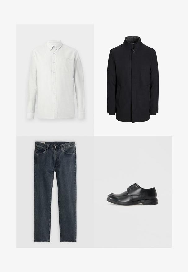 Cappotto da uomo in lana nera con colletto alto, zip nascosta, chiusura a un bottone e tasche laterali.; Camicia di colore chiaro, a maniche lunghe, con righe verticali, colletto button-down e taschino sul petto. Il tessuto appare testurizzato con una finitura morbida.; Jeans in denim blu scuro con un design a gamba dritta, cinque tasche e chiusura con bottone. Il tessuto presenta una leggera sfumatura e texture.; Scarpe in pelle nera con stringhe, puntale arrotondato, texture liscia e tacco basso. Presentano dettagli di cucitura lungo la tomaia e i lati.