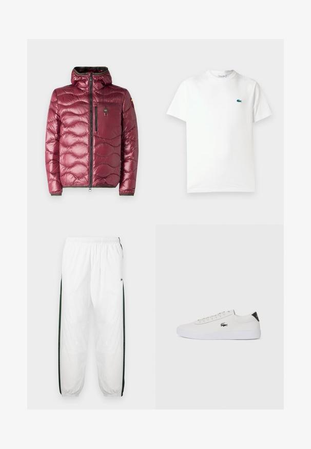 Blauer WAVE - Daunenjacke - red; Weißes Baumwoll-T-Shirt mit Rundhalsausschnitt, kurzen Ärmeln und einem kleinen grünen gestickten Krokodil-Logo auf der linken Brust.; Weiße Trainingshose mit dunkelgrünen Seiteneinsätzen. Leichtes Material, elastischer Bund und gerippte Säume. Mit Netzstruktur an den Seiteneinsätzen.; Weiße Leder-Sneaker mit runder Spitze, Schnürung und schwarzem Fersenakzent. Verfügt über ein kleines gesticktes Krokodillogo an der Seite.