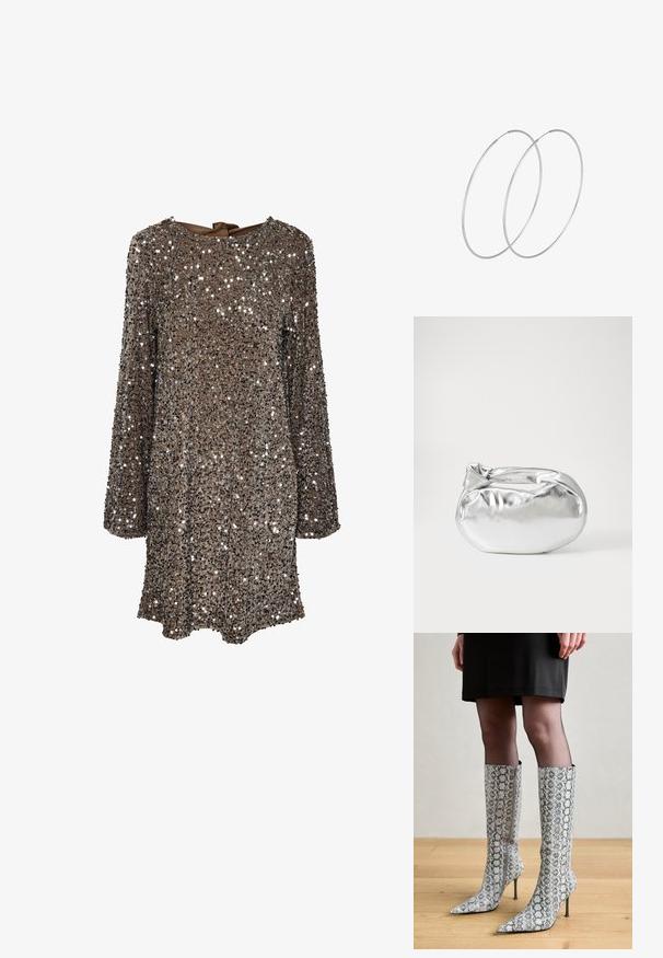 Pikaedega kleit, millel on pruun kangas, kaetud hõbedaste litritega, ümar kaelus ja taga lipsudetail. Peegeldav ja tekstuuriga pind.; Sääreläkohased kingad terava varbaga, krokodillimustriga, millel on tekstureeritud hall ja valge muster, stilettokõrgused kontsad ja külgne tõmblukk.; Hõbedane metallikoti kott pehme, ümar kuju ja sõlme ülemise sulgemisega. Valmistatud siledast kunstnahast materjalist.; Hõbedased rõngastikkaehingad minimalistlikus disainis. Ümar kuju, sile tekstuur ja õhuke profiil. Kerged ning poleeritud viimistlusega.