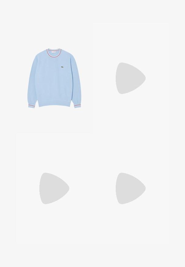 Sudadera de color azul claro con cuello redondo, puños acanalados y un cuello a rayas multicolores. Presenta un pequeño logo verde en el pecho.; Hackett London STRIPES - Camisa - blue white; Bañador negro hecho de una tela ligera, con una cinturilla elástica con cordón y un detalle gráfico blanco en la pierna izquierda.; Zapatillas Lacoste en gris oscuro con material de malla y sintético, que cuentan con una suela texturizada y detalles en marrón en el cuello y la marca.