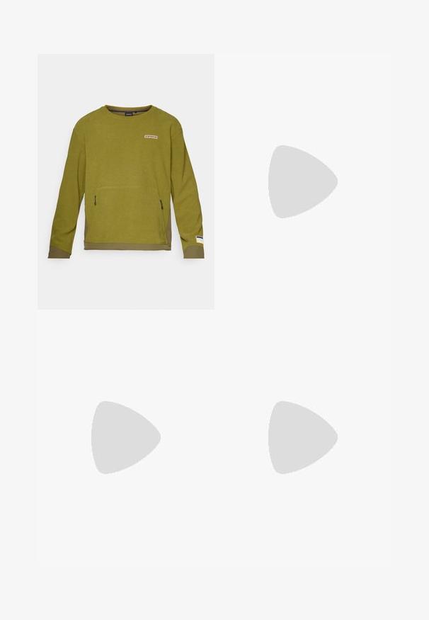 Oliven grøn langærmet sweatshirts med tekstureret stof, featuring en frontlomme, logo patch ovenfor og kontrastfarvet nederste kant.; Grå kortærmet t-shirt lavet af blødt, struktureret stof med et lille blåt Patagonia-logo på venstre bryst. Ingen yderligere mønstre.; Mørkegrå bukser lavet af holdbart stof, med en lynlåslomme, lige snit og bæltestropper for justerbar pasform.; Brune vandtætte sneakers med en tekstureret overflade, perforerede akcenter, sort hælunderstøttelse og en grå gummisål. Snørebåndene er udsmykket med metalender.