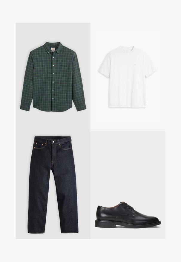 Pikend varrukatega nööbiga särk rohelise, sinise ja kollase ruudulise mustriga, valged nööbid ja nööbitud krae.; Valge puuvillane t-särk lühikeste varrukatega, ümmargune kaelus ja peene Levi'si logo trükituna keskel. Pehme tekstuur ja standardne istuvus.; Tumedad sinised teksad sirge lõikega, viie taskuga, kontrastsete oranžide õmblustega ja nööpide kinnitusega. Ilma nähtavate mustrite või kaunistusteta.; Must musta kleitjalats ümarate varvastega, paeltega disain ja madal virnastatud konts. Sile tekstuur minimaalsete õmblustega.