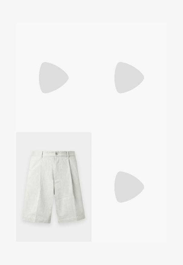 Moška temno siva kratka majica z V-izrezom. Narejena iz mehkega materiala s sproščenim krojem in kontrastnim šivom okoli vratu in rokavov.; Svetlo sive kratke hlače iz teksturirane tkanine, z zapiranjem na gumb, naborki in ravnim krojem, primerne za priložnostno nošenje.; Črne usnjene čevlje z dvojnim monk zapiranjem, zaobljenim prstom in srebrnimi zaponkami. Gladka tekstura in ravna peta zagotavljata stabilnost.; Zelena platnena torba za poštu z belimi usnjami, nastavljivim trakom in srebrnimi dodatki. Zapenjanje s poklopcem z zaponkami.