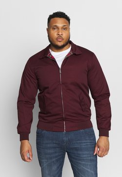 Bomberjackor Storlek 108 online | Dam & Herr | Zalando Billiga Bomberjackor i storlek 7XL för Kvinna på Rea