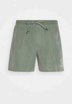 Quiksilver - SURF - Badeshorts - laurel wreath